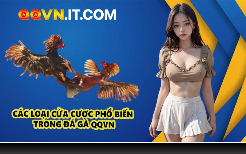 Các loại cửa cược phổ biến trong đá gà QQVN