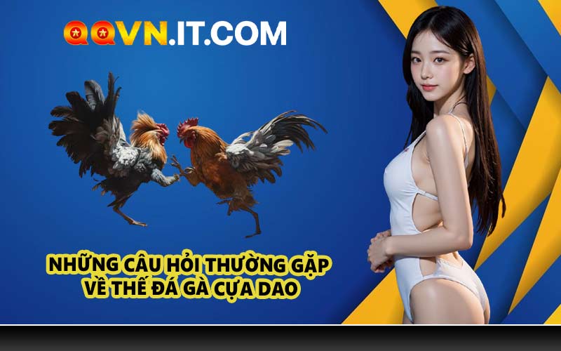 Những Câu Hỏi Thường Gặp Về Thế Đá Gà Cựa Dao