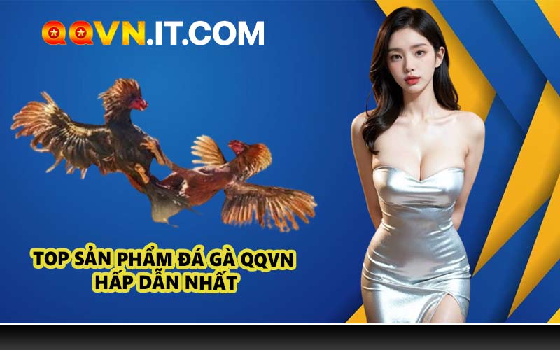 Top sản phẩm đá gà QQVN hấp dẫn nhất